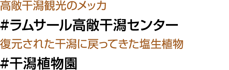            #                                #     