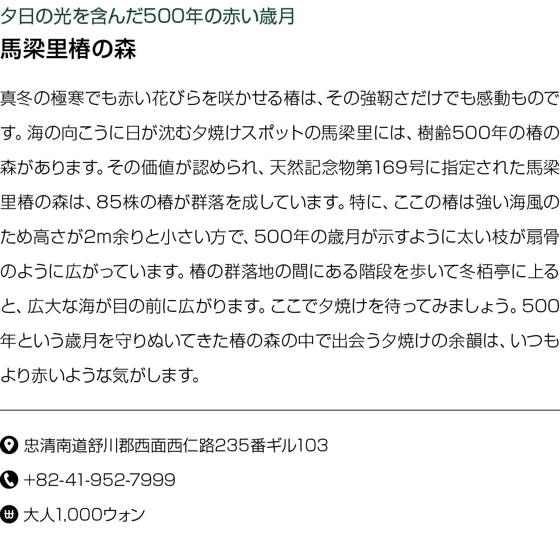         500                                                                            500                              