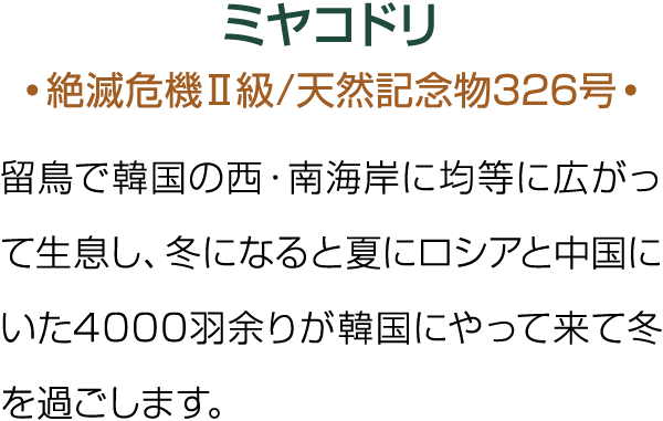                    326                                          4000                    