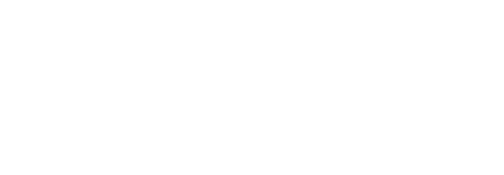 4,000              