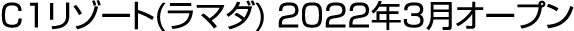 C1    (   ) 2022 3     