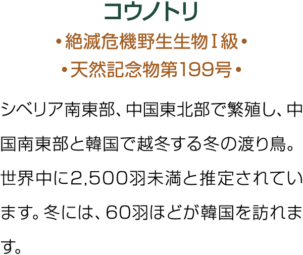                           199                                            2,500                 60            