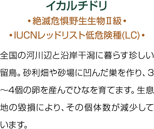                      IUCN          (LC)                                      3 4                                       