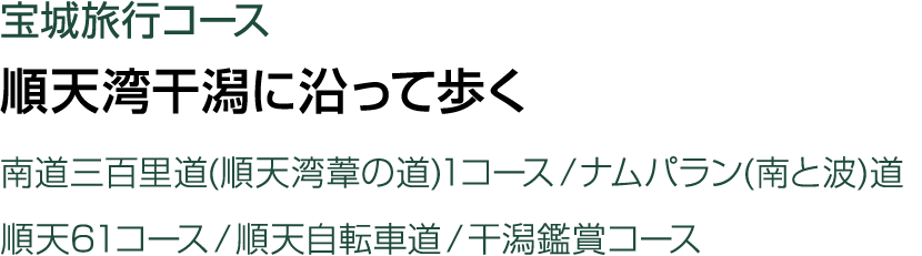                           (      )1         (   )   61                  